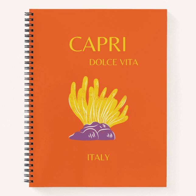 Capri, Italien, Reisen, Preppy, Orange Notizbuch (Vorderseite)