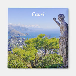 Capri Mountain View Magnet