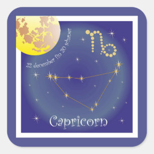 Capricorn 22 december fin 20 schaner Aufkleber