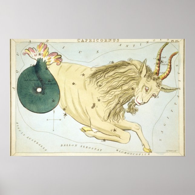 Capricorn Astrologisch Zeichnend Poster (Vorne)