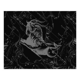 Capricorn Constellation Hevelius 1690 auf Schwarz Fotodruck