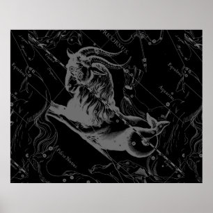 Capricorn Constellation Hevelius 1690 auf Schwarz Poster