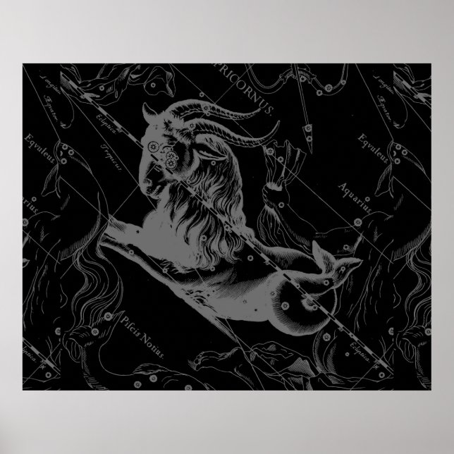 Capricorn Constellation Hevelius 1690 auf Schwarz Poster (Vorne)