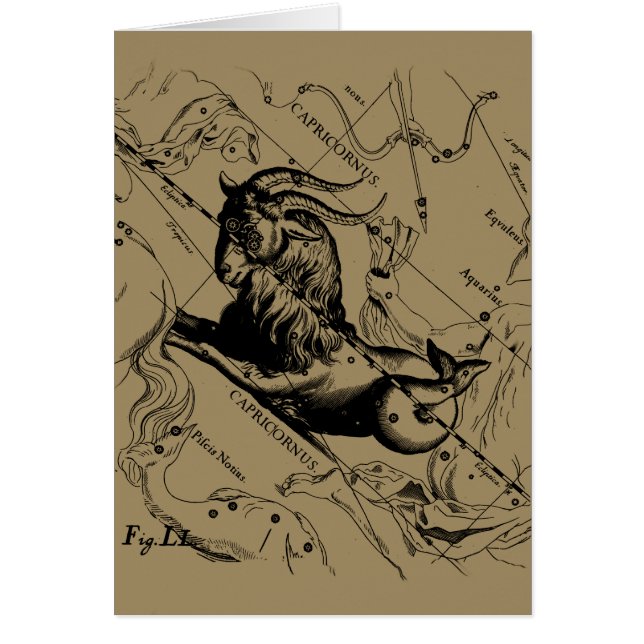 Capricorn Constellation Hevelius 1690 auf Taupe (Vorne)