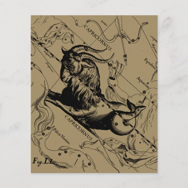 Capricorn Constellation Hevelius 1690 auf Taupe Flyer (Vorne)