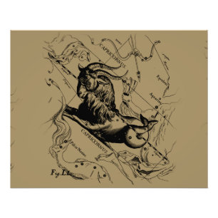 Capricorn Constellation Hevelius 1690 auf Taupe Fotodruck