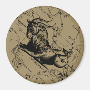 Capricorn Constellation Hevelius 1690 auf Taupe Magnet
