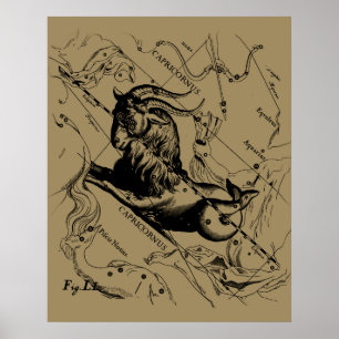 Capricorn Constellation Hevelius 1690 auf Taupe Poster