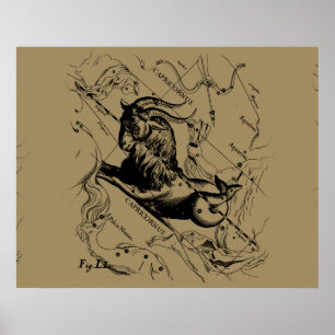 Capricorn Constellation Hevelius 1690 auf Taupe Poster