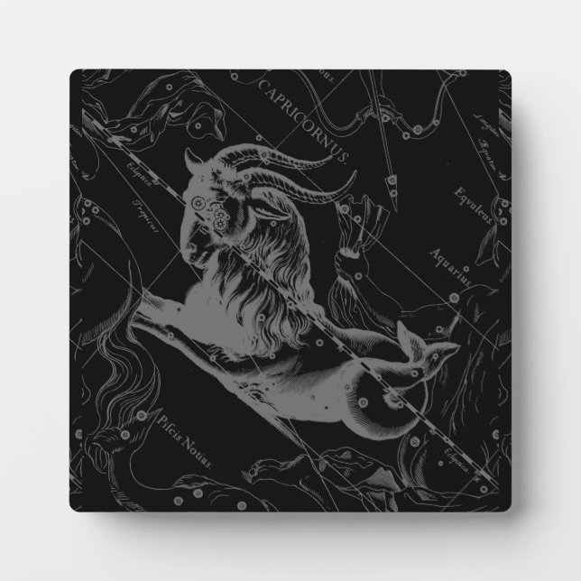 Capricorn Constellation Hevelius 1690 Gravur Fotoplatte (Vorderseite)