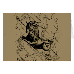 Capricorn Constellation Vintag Gravur Hevelius