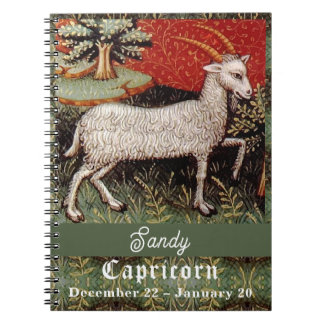 Capricorn die Ziege Zodiac Sign Geburtstagsparty Notizblock