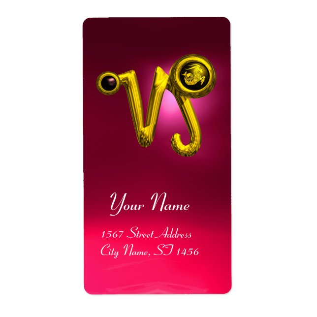 CAPRICORN GOLD ZODIAC JEWEL Black Onyx , Red Ruby (Vorne)