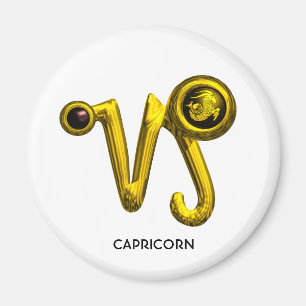 CAPRICORN MAGNET