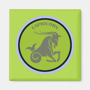 Capricorn Magnet