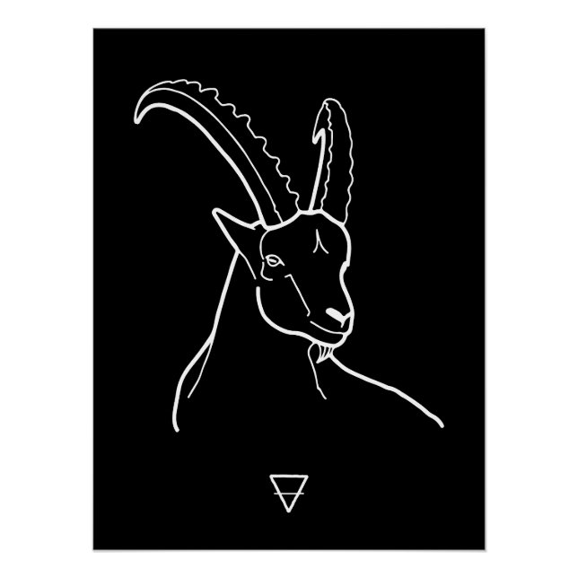 Capricorn Poster (Vorderseite)