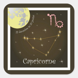 Capricorne 22 décembre au 20 janvier Aufkleber