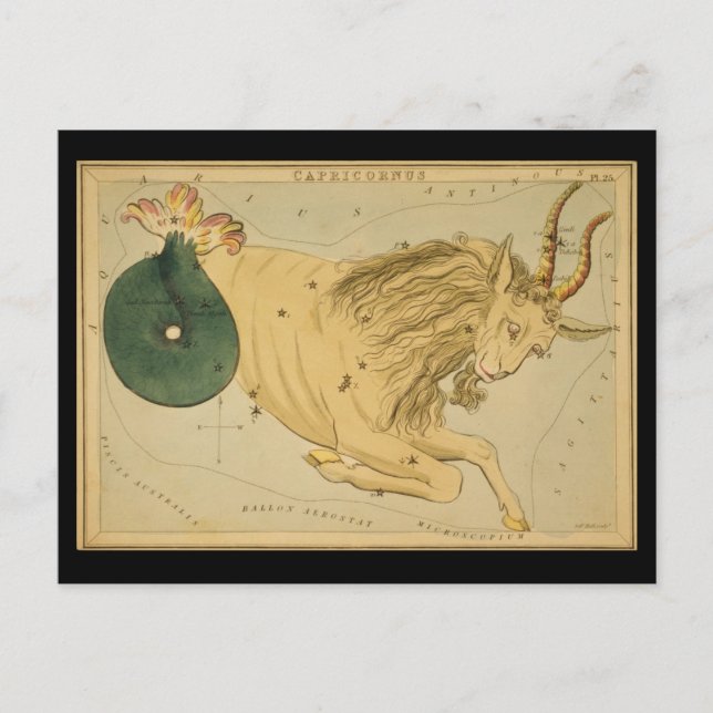 Capricornus (Capricorn) Postkarte (Vorderseite)