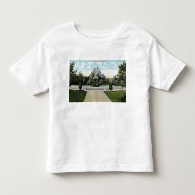 Capron Park-Ansicht des Brunnens Kleinkind T-shirt (Vorderseite)