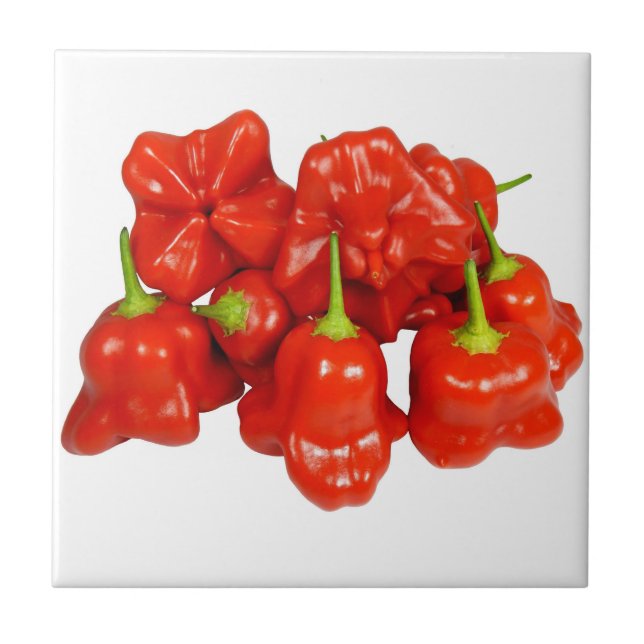 Capsicum Chinense Chili Tile Fliese (Vorderseite)