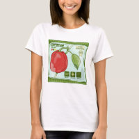 Capsicum Rote Glocke