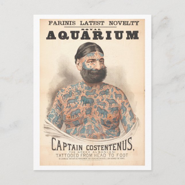 Captain Costentenus Tattooed Man Vintag Postkarte (Vorderseite)