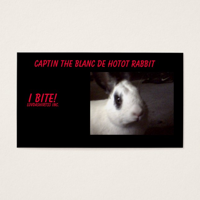 captin001, Captin The Blanc De Hotot Rabbit, I ... (Vorderseite)