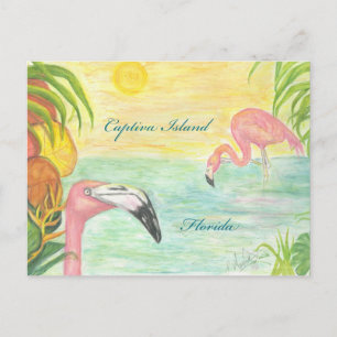 Captiva Island Flamingos Florida Kunst, Dichtung u Postkarte