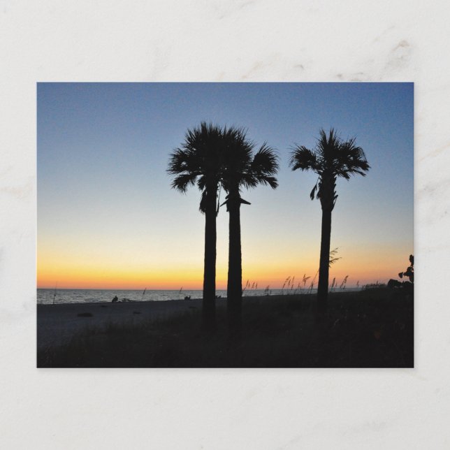 Captiva Island Palm Trees Sunset Florida Postcard Postkarte (Vorderseite)