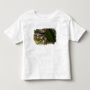 Captive Tapichalaca Tree Frog Hyloscirtus 3 Kleinkind T-shirt