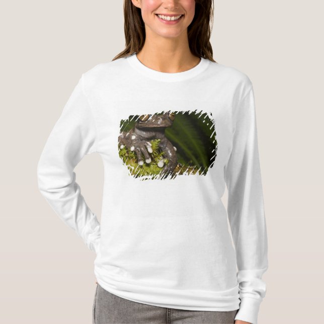 Captive Tapichalaca Tree Frog Hyloscirtus 3 T-Shirt (Vorderseite)