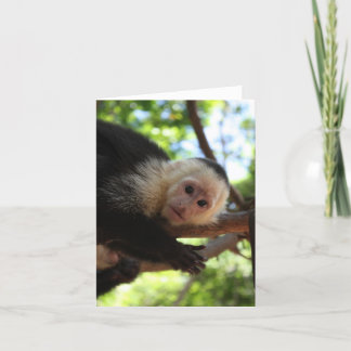 Capuchin-Affe Notecard Karte