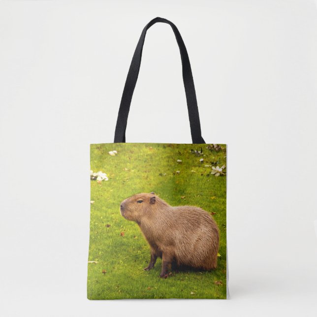 Capybara (Vorderseite)