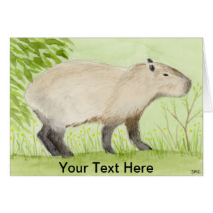 Capybara