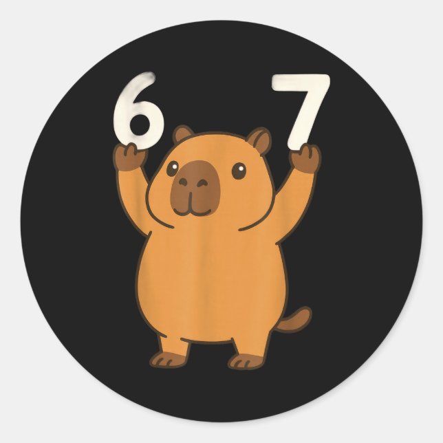 Capybara 67 Meme Sechs Sieben Lustig  Runder Aufkleber (Vorderseite)