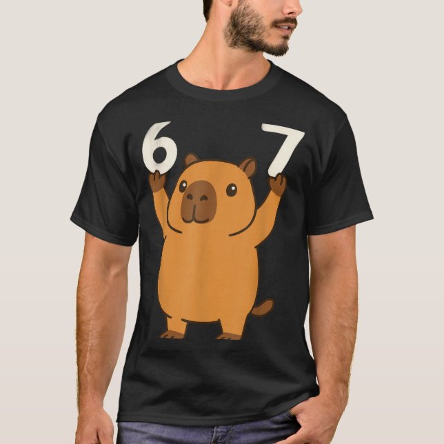 Capybara 67 Meme Six Seven Lustig  T-Shirt (Vorderseite)
