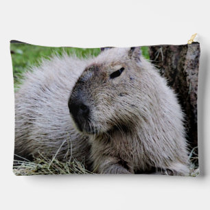 Capybara 7 zubehörtasche