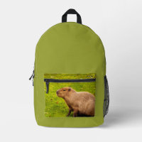 Capybara