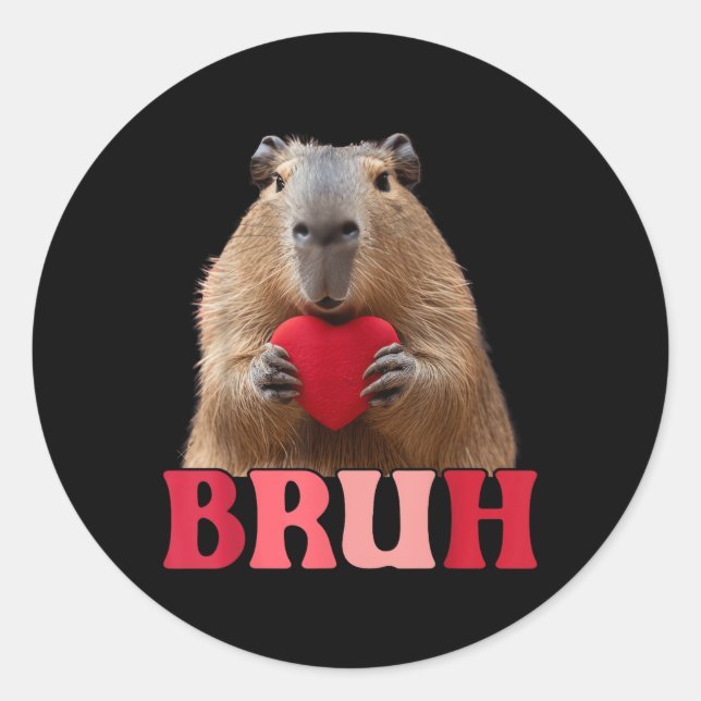 Capybara Bruh Meme Funny Sprichwort Teens Boys Val Runder Aufkleber (Vorderseite)