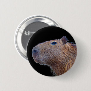 Capybara Button
