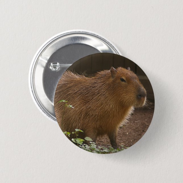 Capybara Button (Vorne & Hinten)