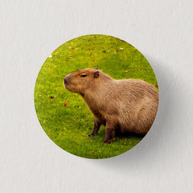 Capybara Button (Vorderseite)