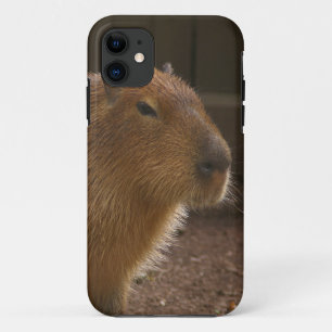 Capybara iPhone 11 Hülle
