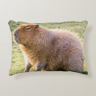 Capybara Cushion Dekokissen