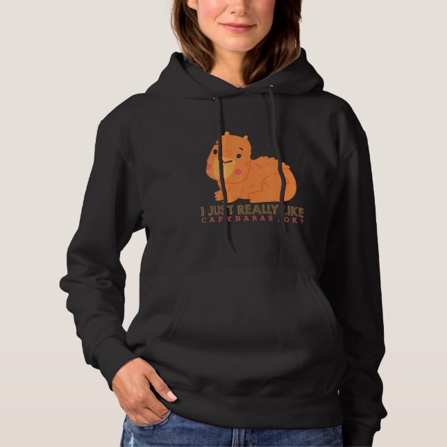 Capybara  Cute Capybaras Rodent Animal Capybara 1 Hoodie (Vorderseite)