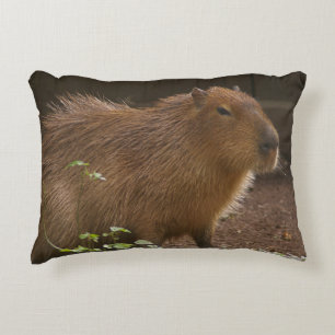 Capybara Dekokissen