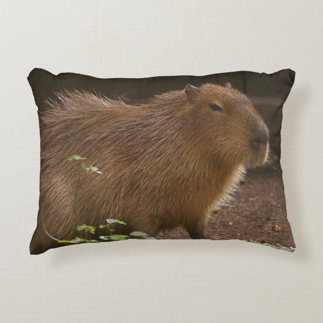 Capybara Dekokissen (Vorderseite)