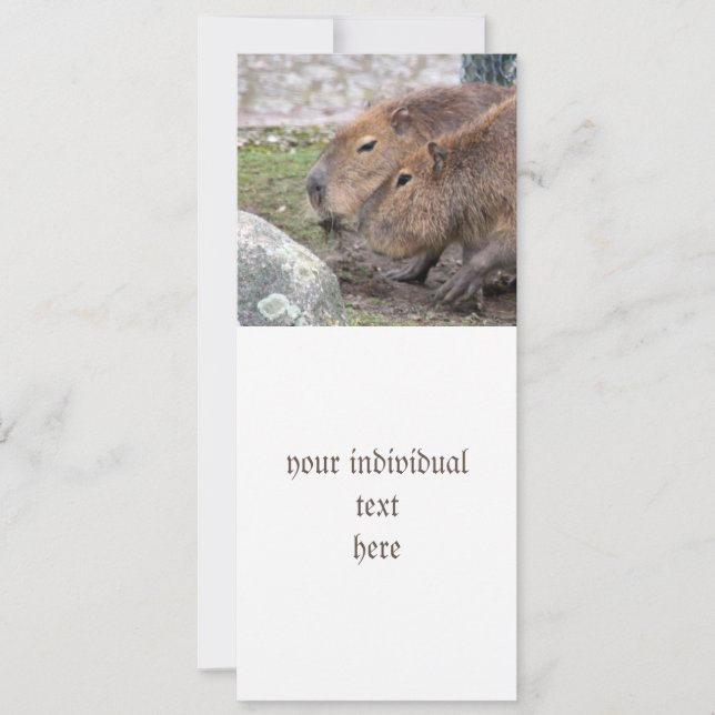 Capybara Einladung (Vorderseite)