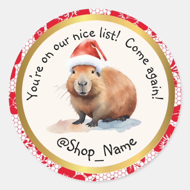 CAPYBARA: Elevate Your Packaging Game! 🚀 Runder Aufkleber (Vorderseite)