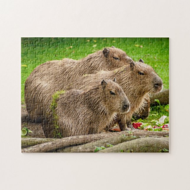 Capybara-Familien-Foto-Puzzlespiel Puzzle (Horizontal)